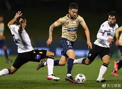 九游体育app-布莱顿vs纽卡斯尔